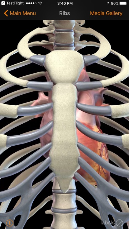 CardioSmart Heart Explorer