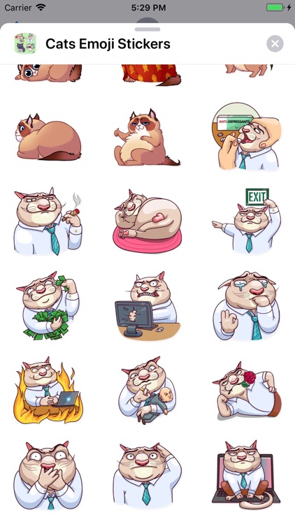 Cats Emoji Stickers screenshot-7