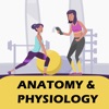 Level 2 Anatomy & Physiology