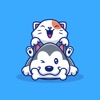 Animated Pet Cats & Dog icon