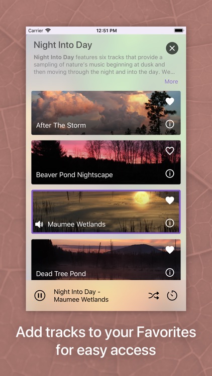 Pure Nature - 3D Soundscapes screenshot-4