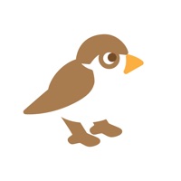 ことりカメラ
