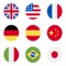 Icon GuessTheFlag Memory Game