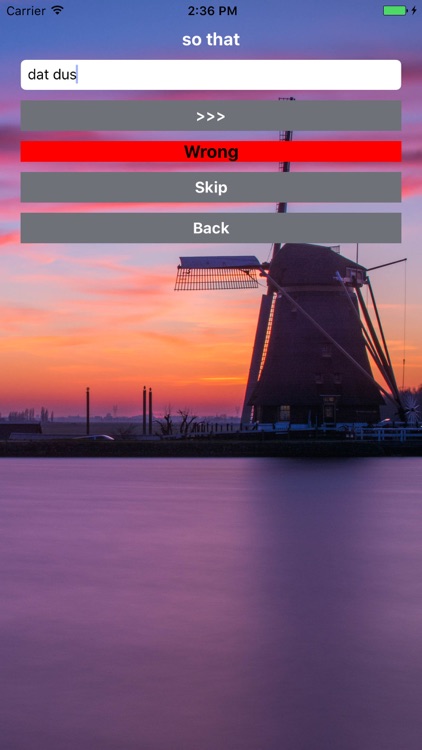 Dutch Vocab Helper Lite screenshot-4