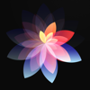 Appic Stars LLC - Live Wallpapers, Pic & Themes artwork