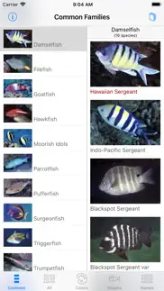 snorkel fish hawaii for iphone problems & solutions and troubleshooting guide - 1