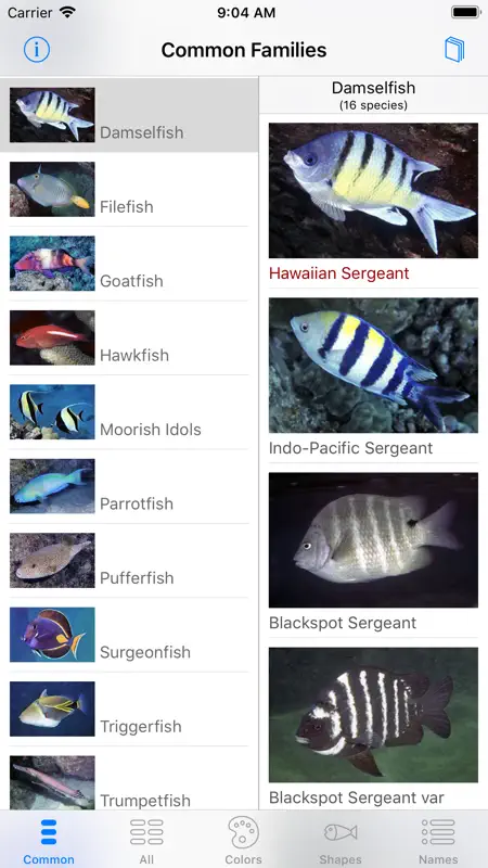 Snorkel Fish Hawaii for iPhone screenshot 5 of 10