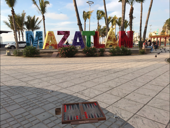 Screenshot #4 for AR Backgammon+