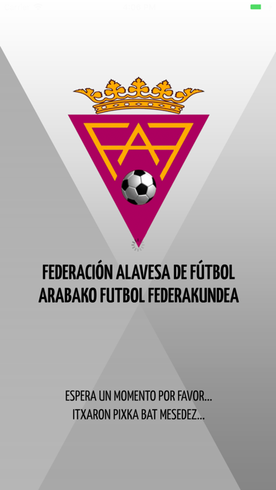 Federación Alavesa de Fútbol Screenshot