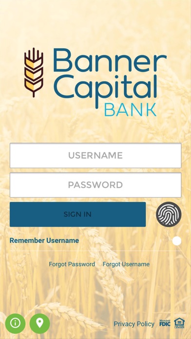 Banner Capital Bank Screenshot