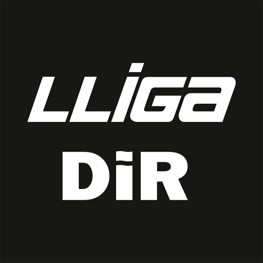 Lliga DIR