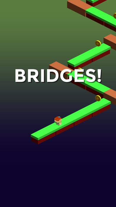 Bridges Connector image #1