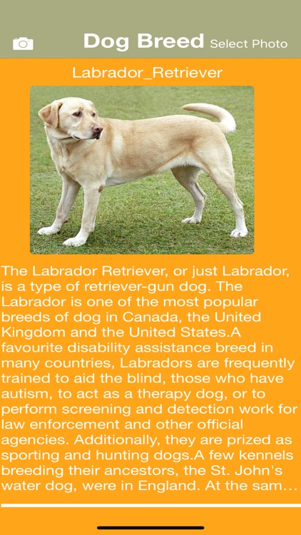 Dog Breed Identify screenshot-4