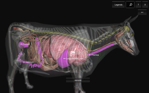 3D Bovine Anatomyのおすすめ画像4