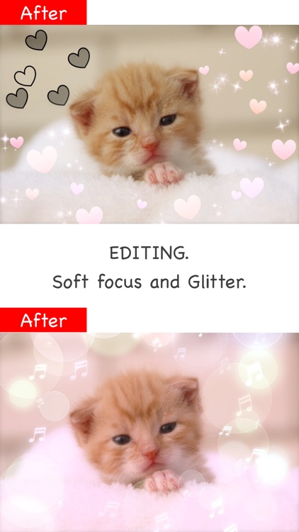 Glitter Photo Editor Lite