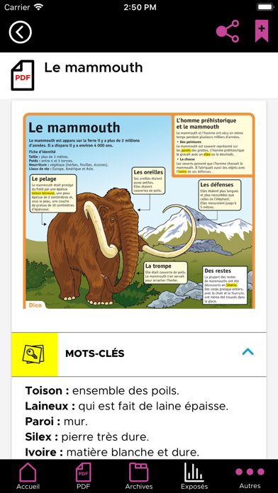 Le Petit Quotidien Screenshot