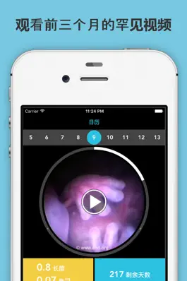 Game screenshot 怀孕须知 mod apk