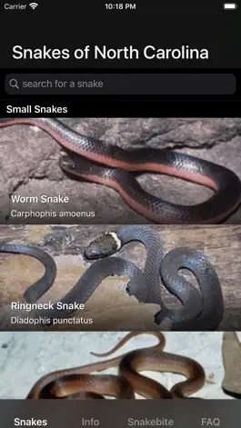 Game screenshot Snakes of North Carolina mod apk