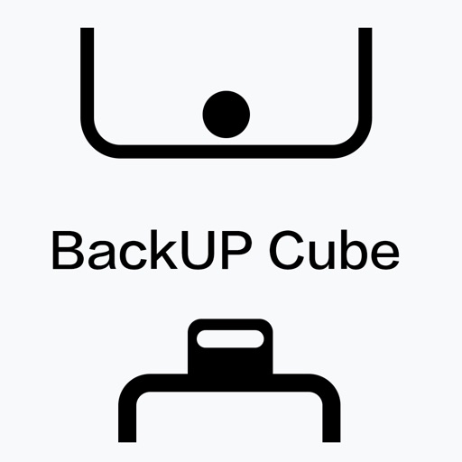 BackUp Cube Icon