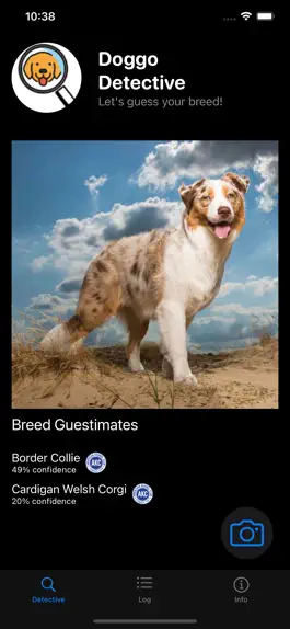 Game screenshot Doggo Detective mod apk