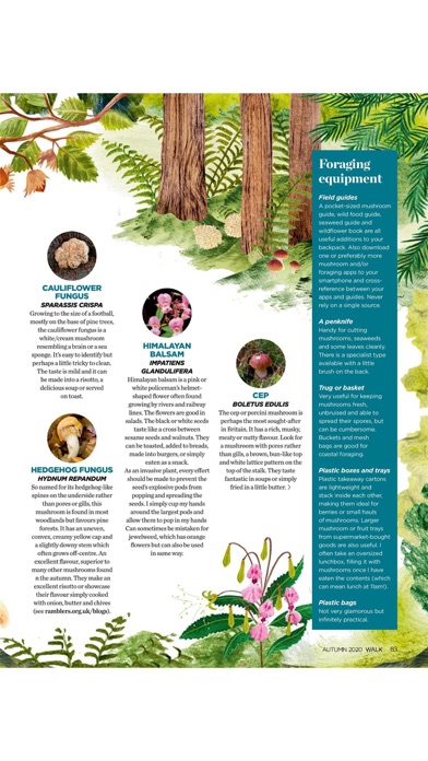 Walk Magazine screenshot1