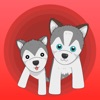 Rocky and Dog - Puzzle Games