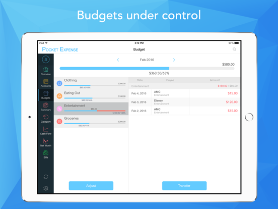 Pocket Expense Pro iPad app afbeelding 4