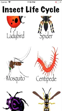 Game screenshot Life Cycle - Insects Arachnids apk