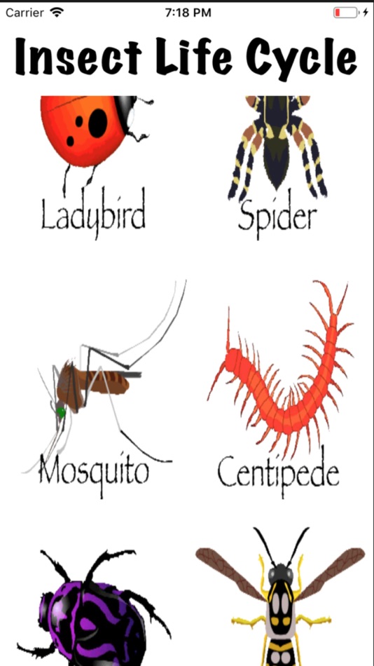 #2. Life Cycle - Insects Arachnids (iOS) Podle: Kok Leong Tan