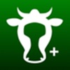Cowculate icon