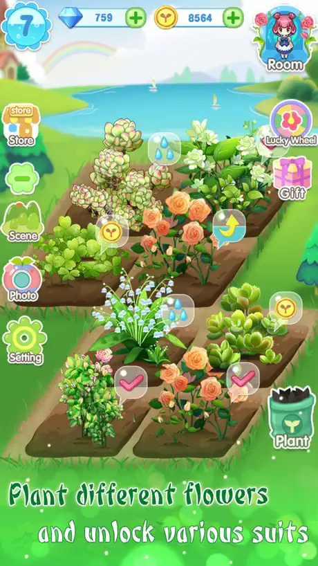 荃豆中药