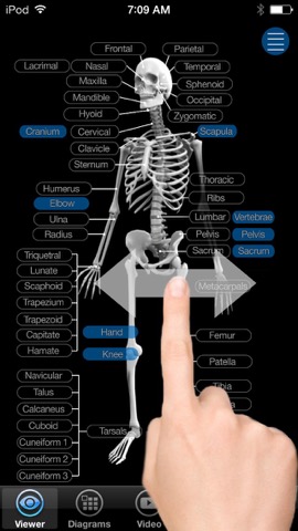 Skeletal Anatomy 3Dのおすすめ画像4