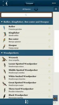 Birds Of Northern Europe iphone bilder 4