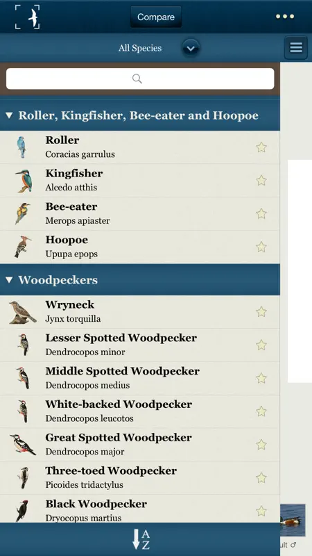 Birds of Northern Europe screenshot 4 of 5