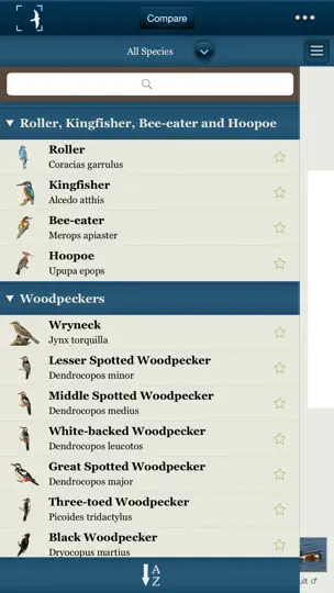 Birds Of Northern Europe iPhone-skjermbilde 4