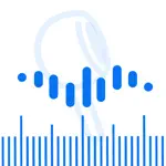 Audio Ruler App Problems