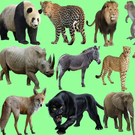 Wild Animals Quiz Cheats