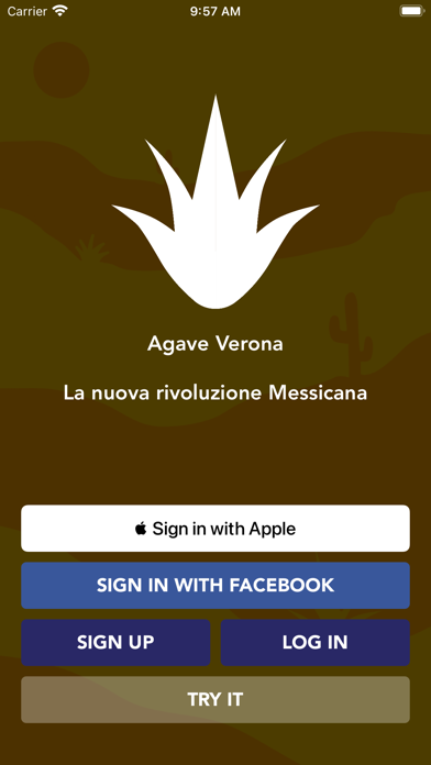 Agave Verona Screenshot