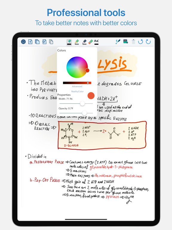 QuickNotes X Pro iPad screenshot 8 - Productivity app