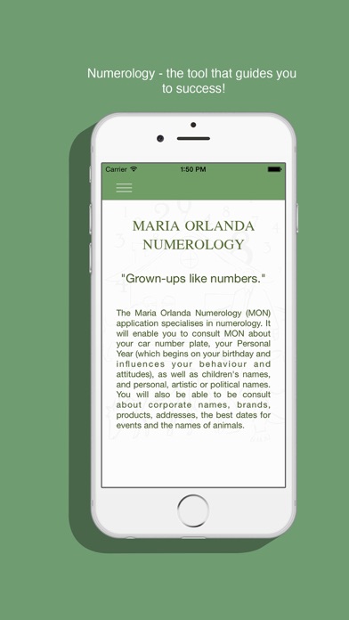 Maria Orlanda Numerology Screenshot