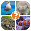 Animals Quiz - Word Pics Game icon