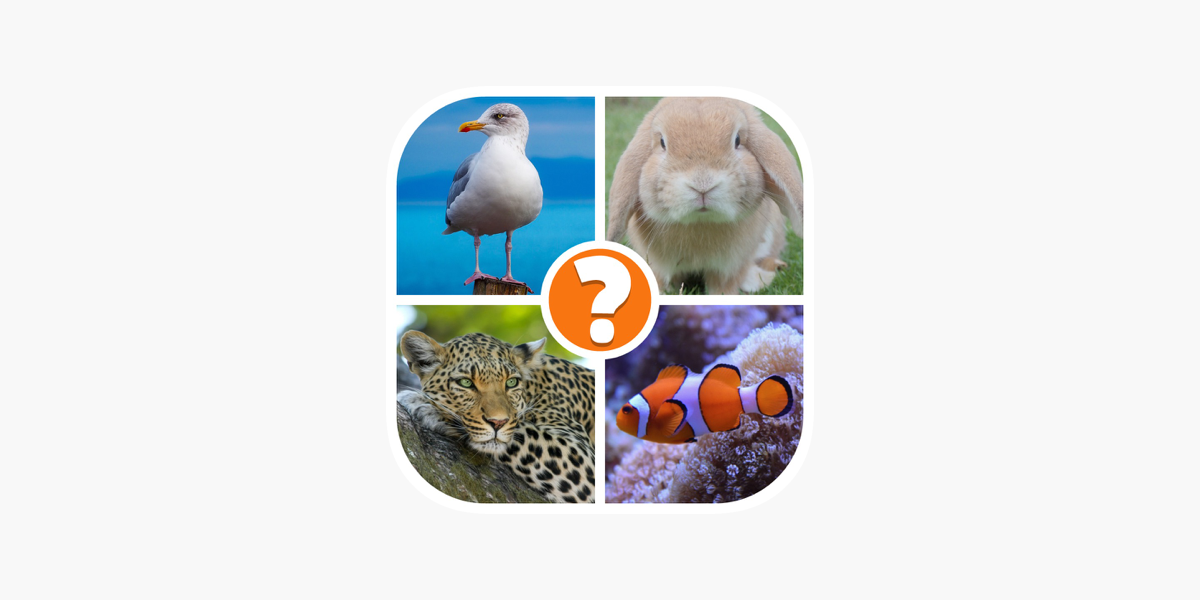 Wild Zoo Animals Quiz Fun App - Baixar APK para Android