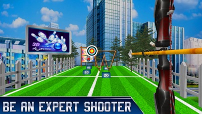 Archery Master Target Shooter Screenshot