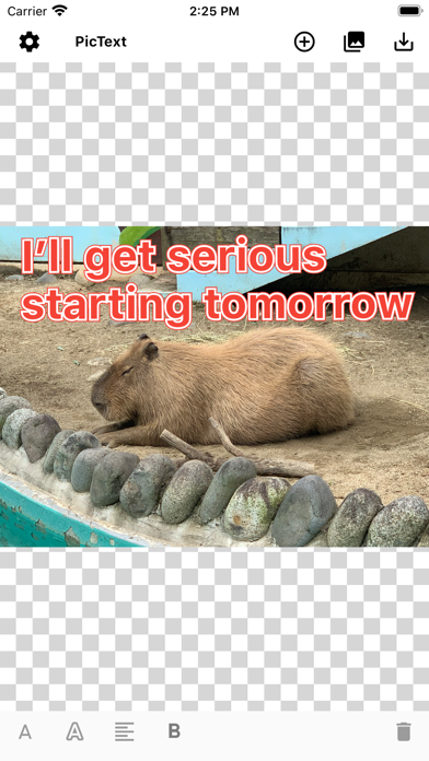 PicText - Text on photos Screenshot 1 - AppWisp.com PicText - Text on photos Screenshot 1 - AppWisp.com