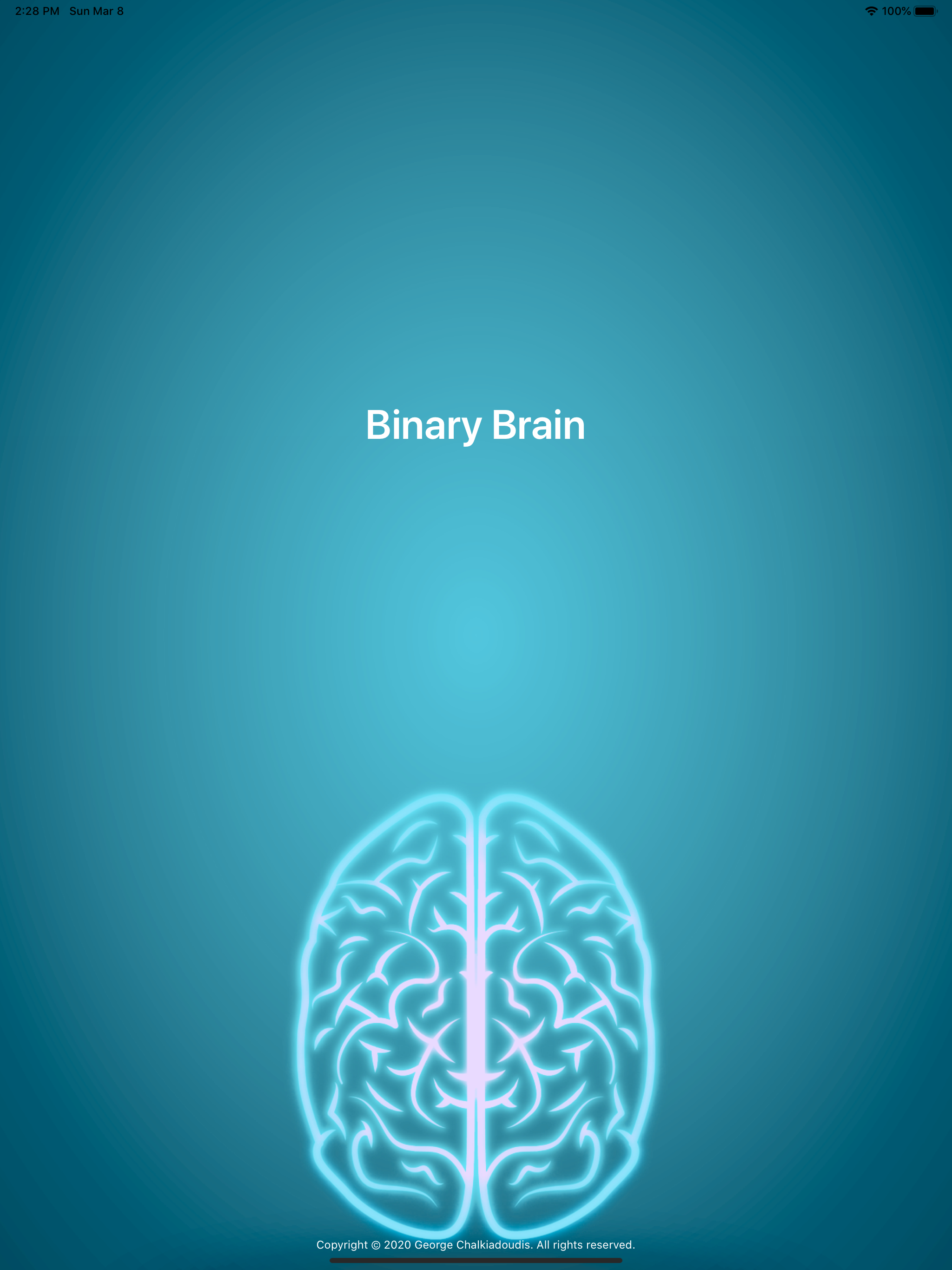Binary Brain screenshot 5
