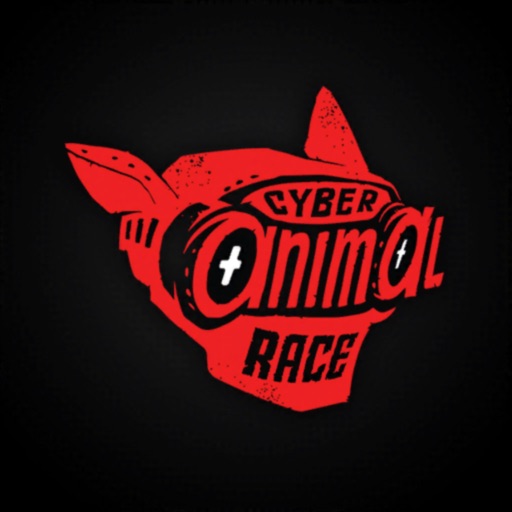 Cyber Virtual Race