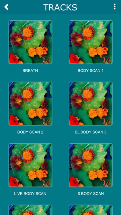 Mindfulness2Go screenshot-4