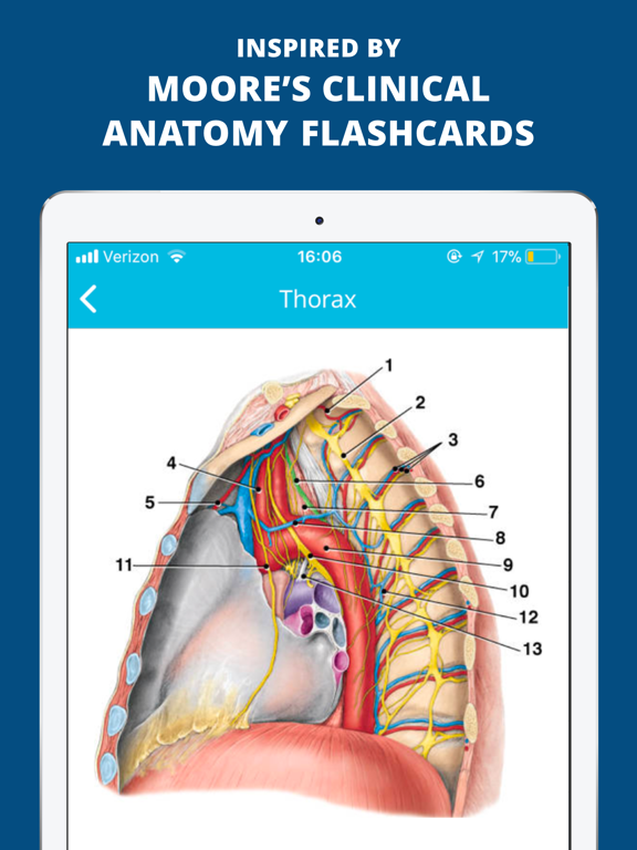 USMLE Clinical Anatomy Quizのおすすめ画像5
