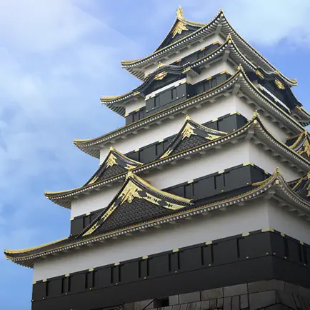 Edo Castle Tower Keep Resurrec Cheats