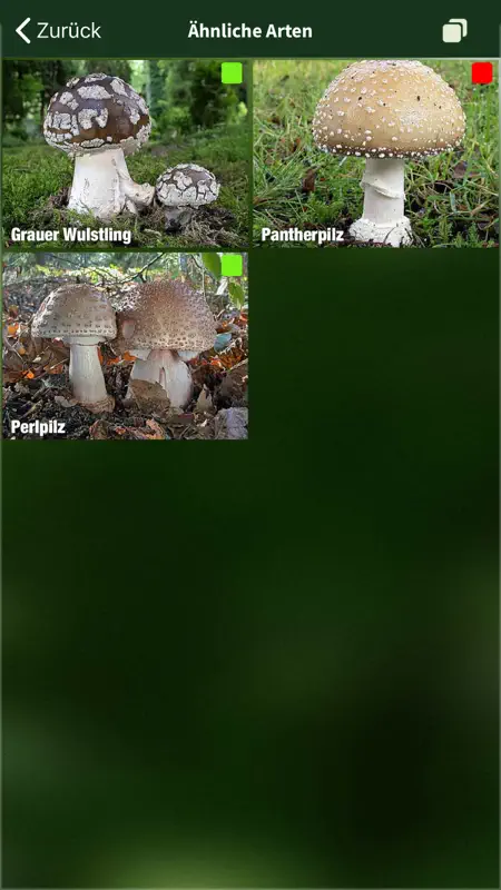 PilzSnap - Pilze sammeln! screenshot 7 of 10